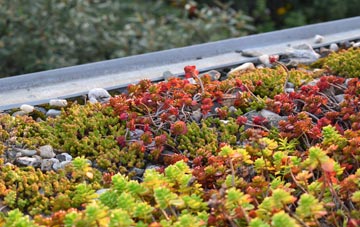 the cost of Mytchett Place green roof installation
